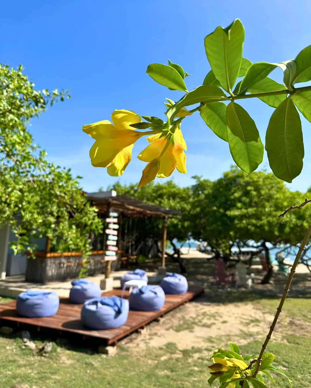 isla-fuerte-2